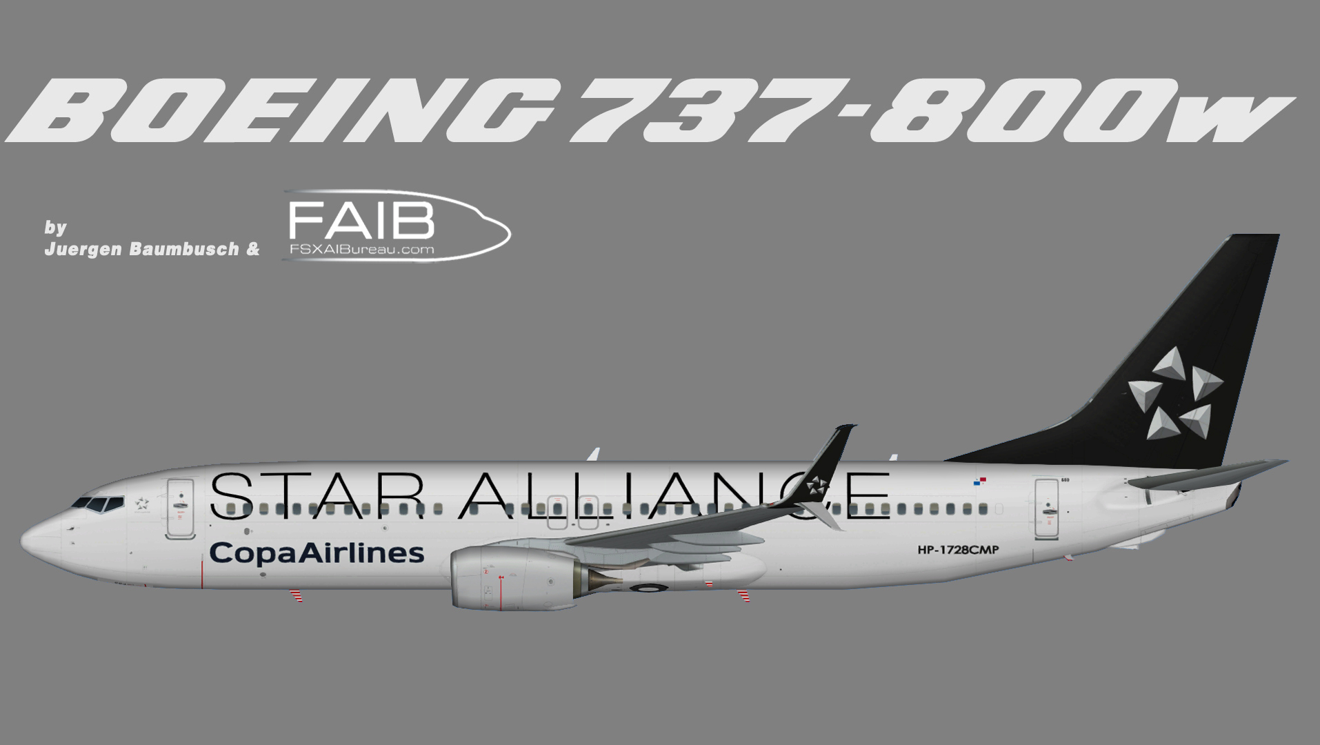 Copa Airlines Boeing 737-800ssw (Star Alliance Logojet)
