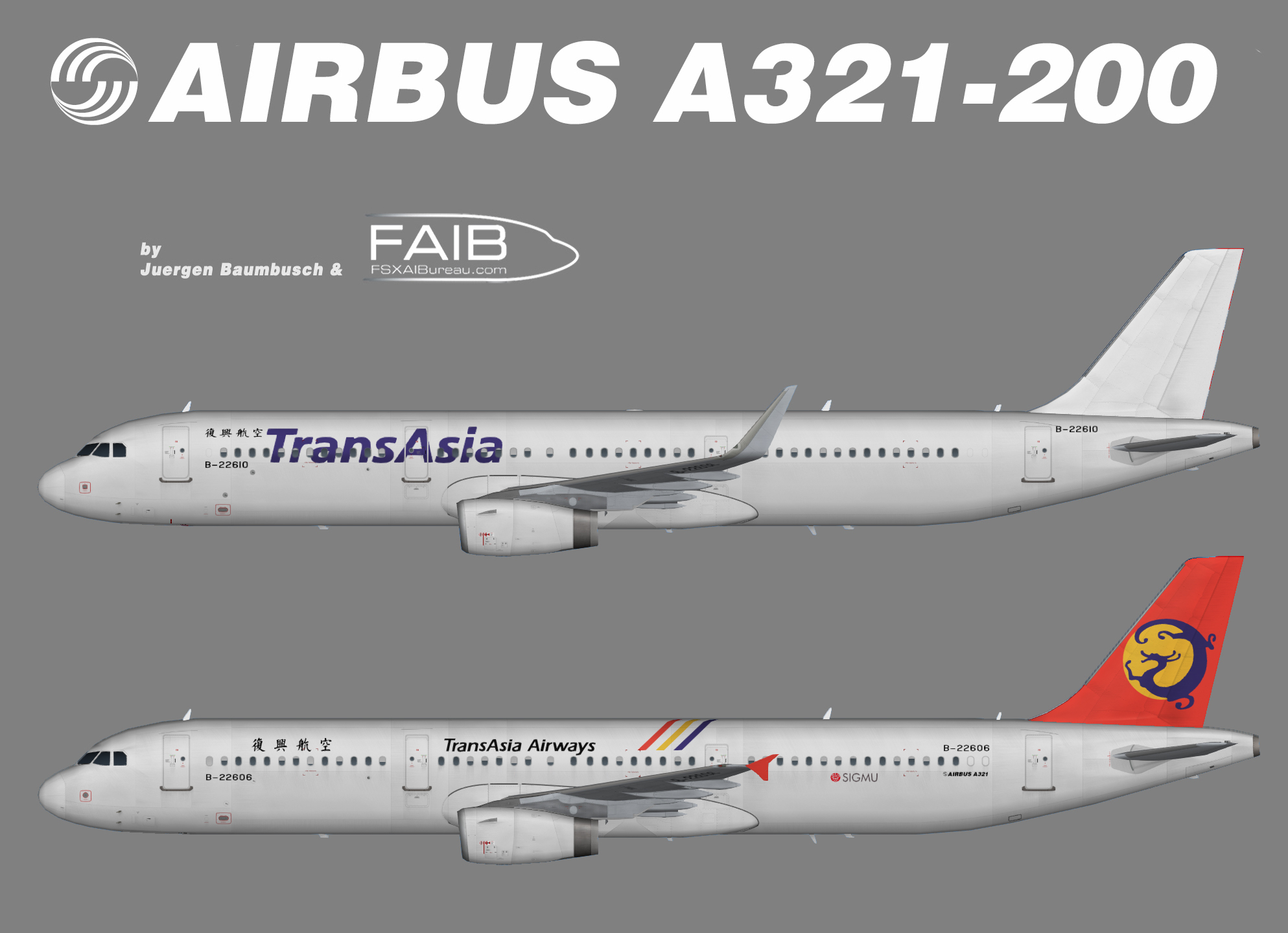 Transasia Airways Airbus A321-100/200.
