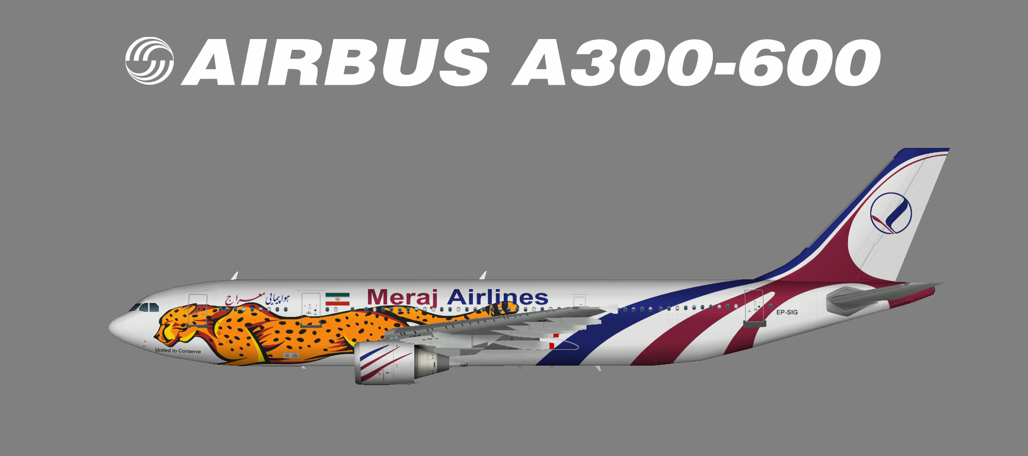 Meraj Air A300-600 V2