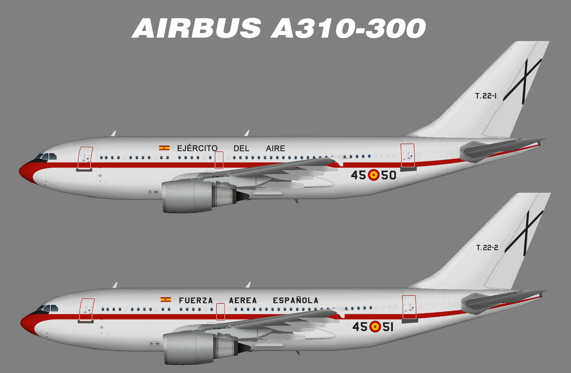 Fuerza Aerea Espanola A310-300