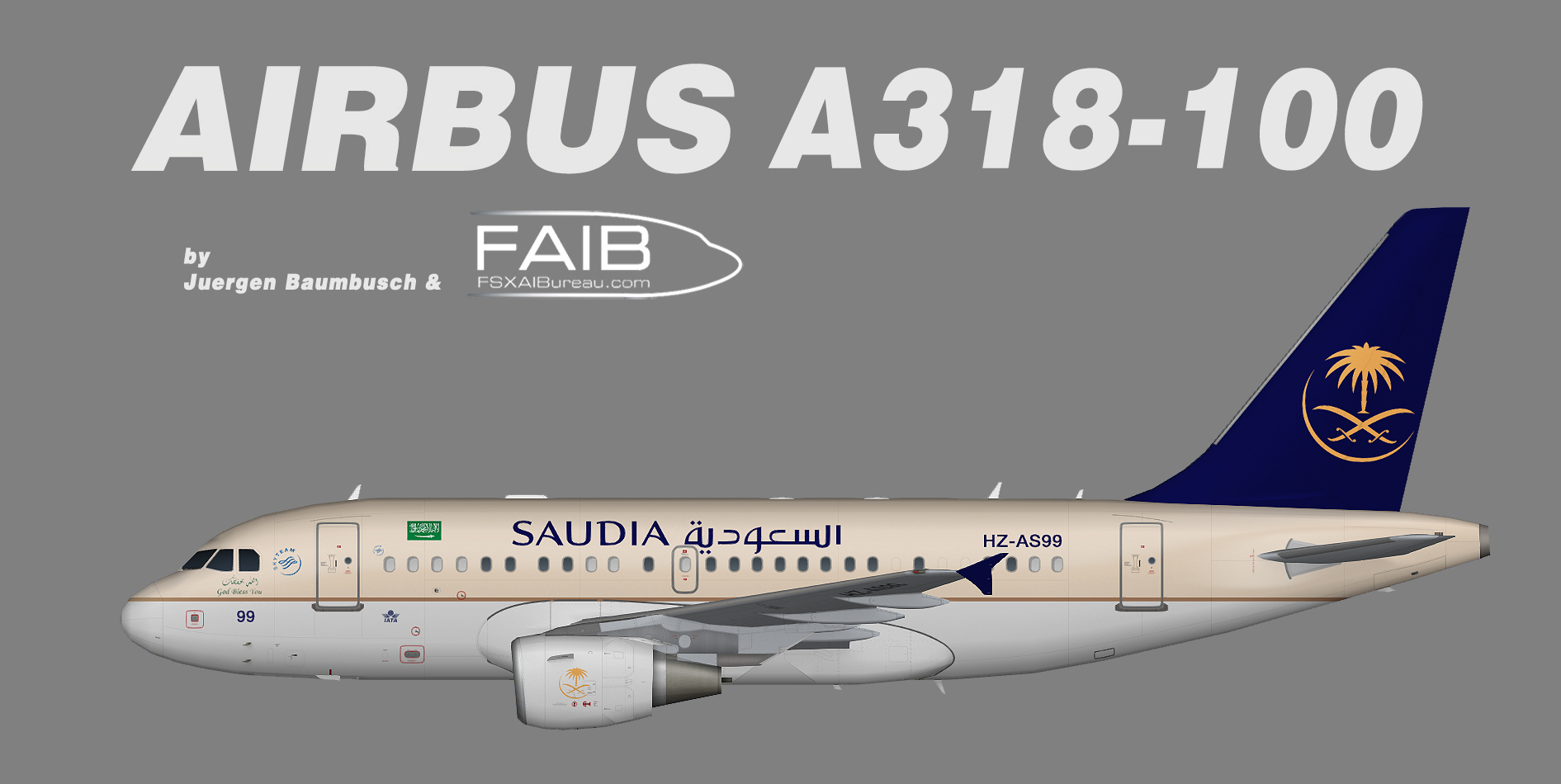 Saudi Royal Flight Airbus A318-100