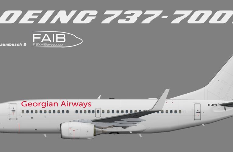 Georgian Airways Boeing 737-700w (Airzena)