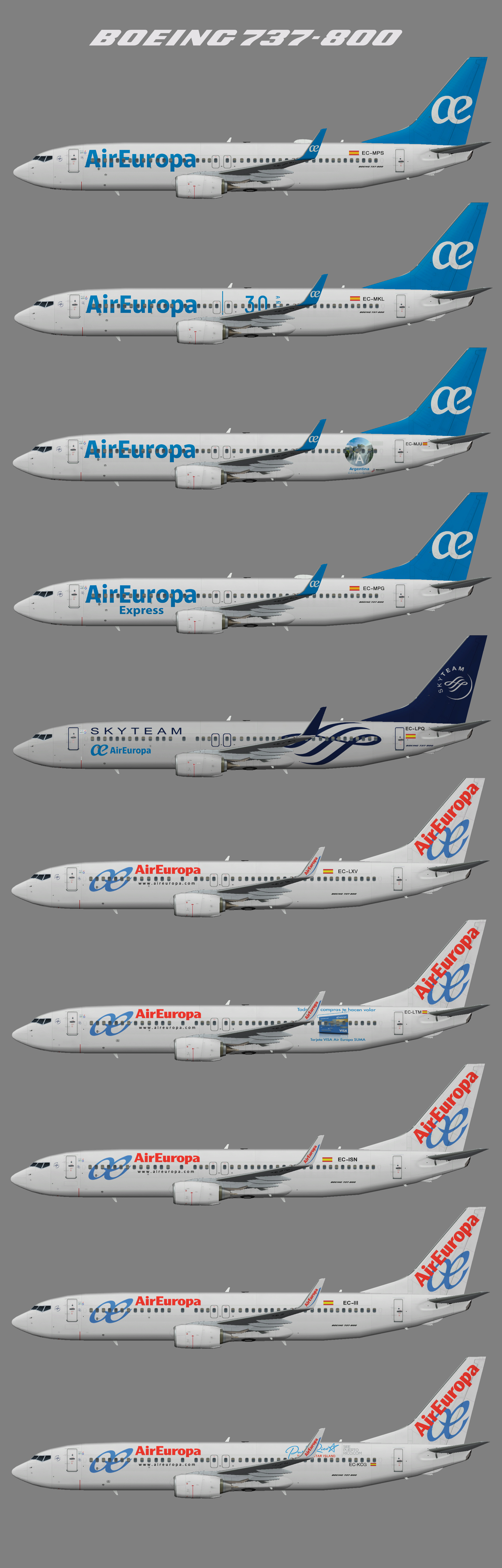 Air Europa Boeing 737-800w (representative fleet)