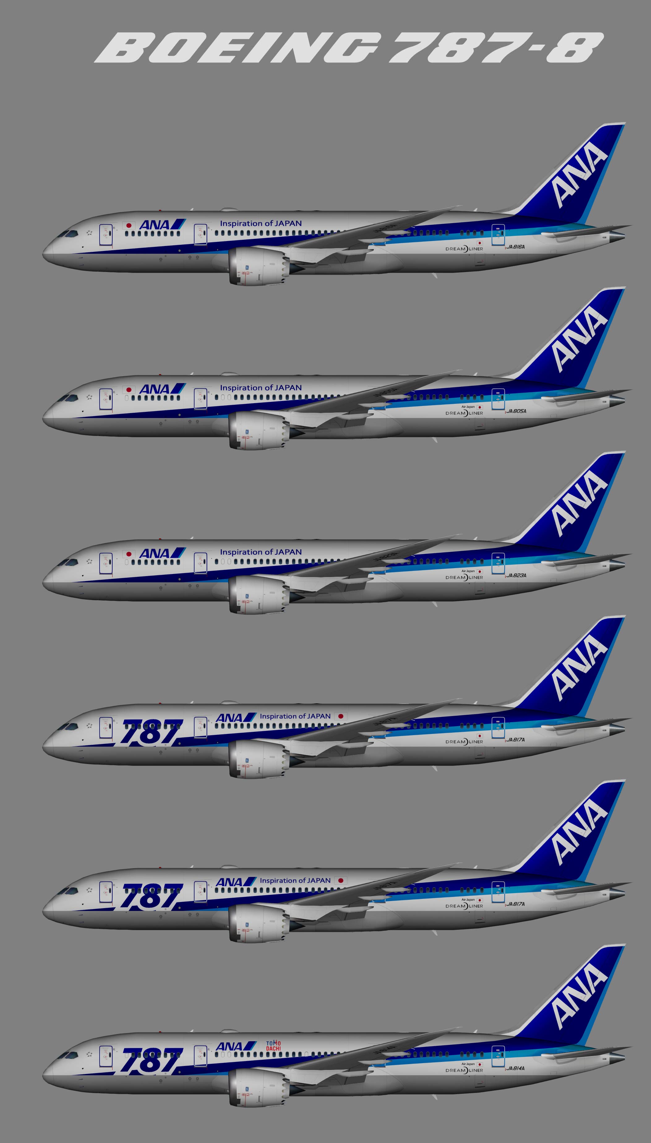 ALL NIPPON AIRWAYS Boeing 787 JET Airplane Post Card  Made In JAPAN Details about   ANA 