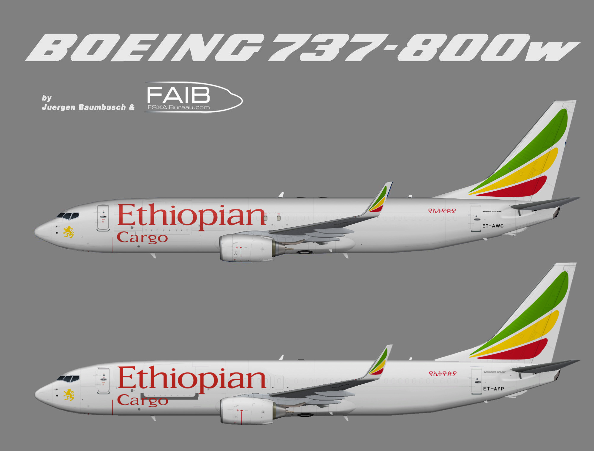 Boeing 787 ethiopian airlines. Боинг 787-800 эфиопские авиалинии. Boeing 737-800 Ethiopian Airlines. Boeing 737-800 logo. Boeing 787 эфиопские авиалинии схема салона.