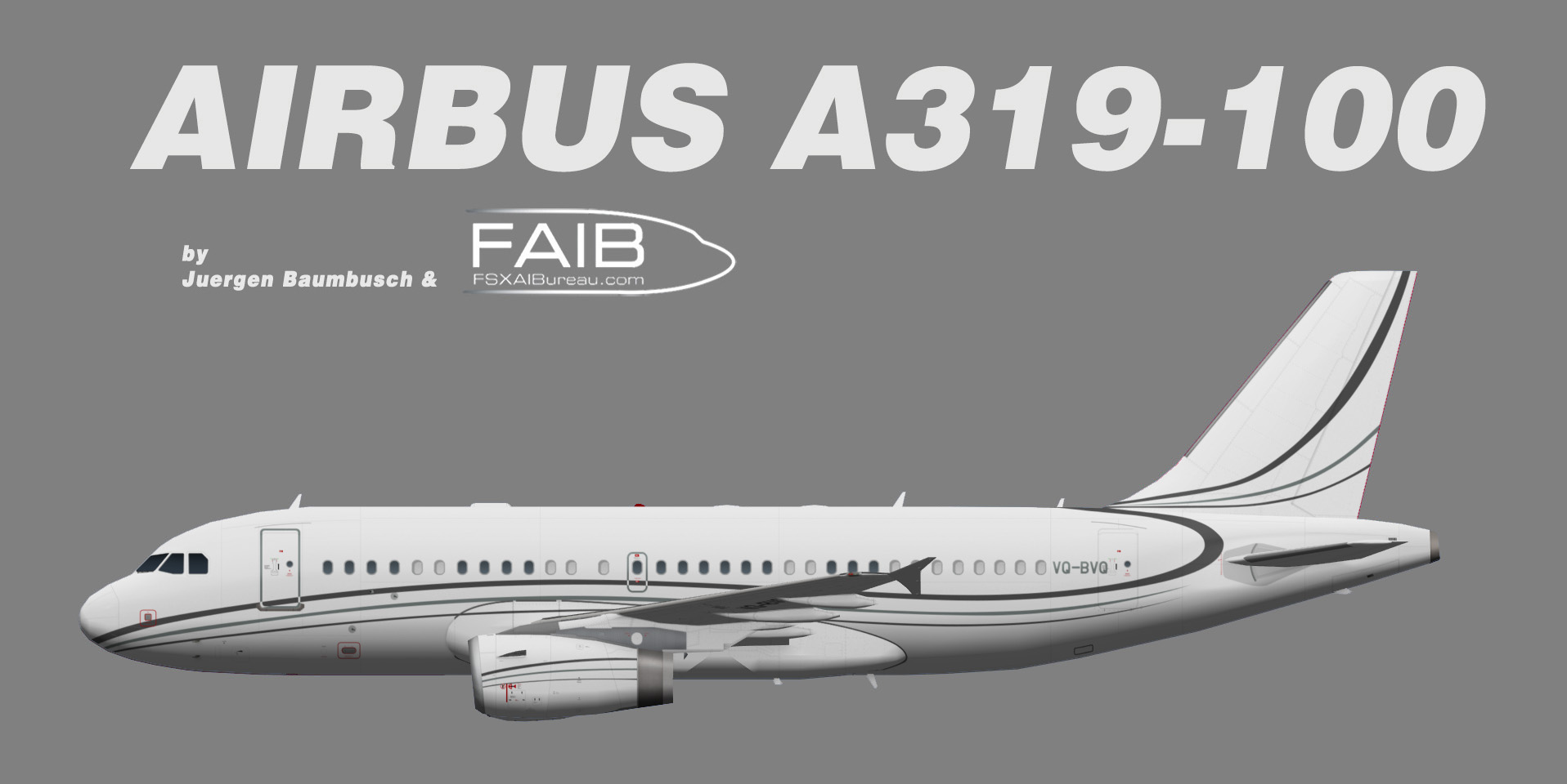 Vipjet Airbus A319-100CJ VQ-BVQ