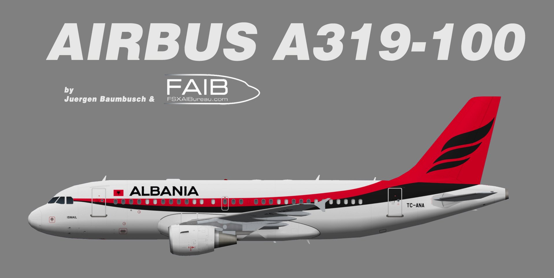 Albanian Government Airbus A319-100 (opb Turkish Air Force)