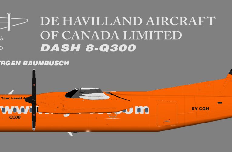 AIG fly540 De Havilland Dash8-300