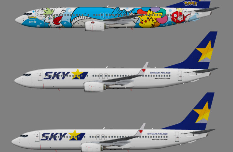 Skymark Airlines Boeing 737-800 (representative fleet)