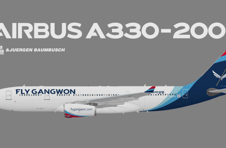 flyGangwon Airbus A330-200