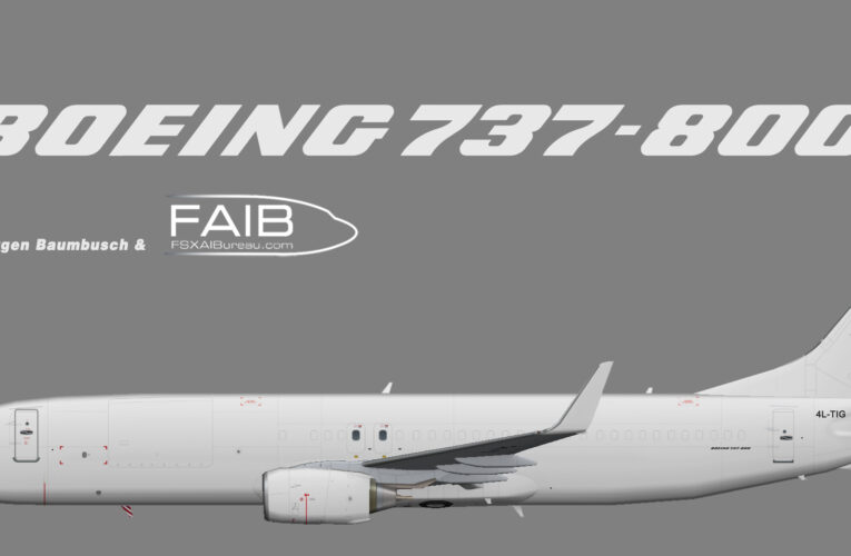 Georgian Airlines Boeing 737-800(BCF)