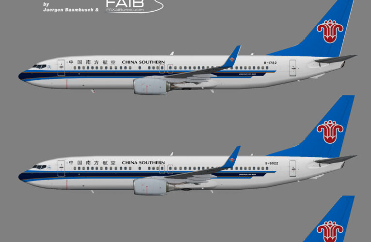 China Southern Airlines Boeing 737-800w