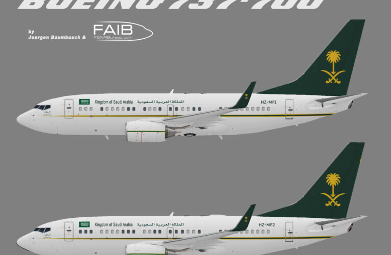 Saudi Ministry of Finance and Economy (FAIB Boeing 737-700w